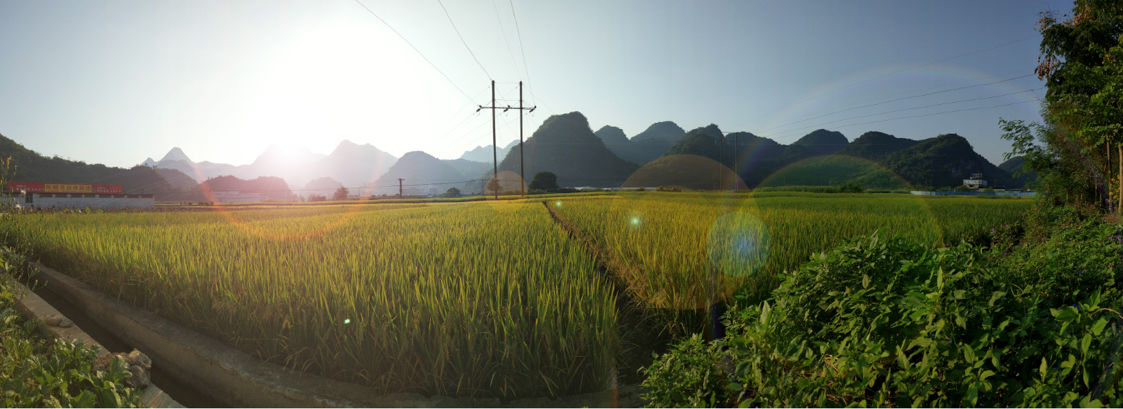 順利，成長(zhǎng)